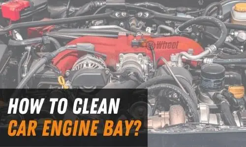 How to Clean Engine Bay? Step-By-Step Guide